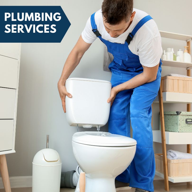 Plumbing Company in Lake Panasoffkee, FL